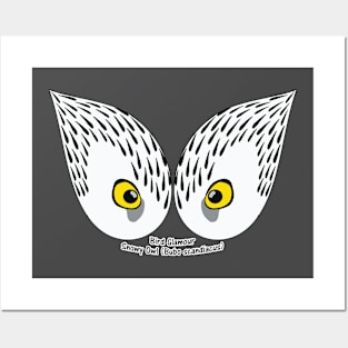 Snowy Owl Eyes Posters and Art